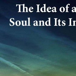 The Idea of a Christian Soul and Its Intelligibility
