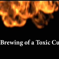 The Brewing of a Toxic Culture