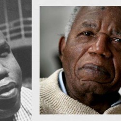 Chinua Achebe, The Art of Fiction No