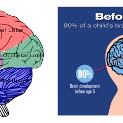 How to Encourage a Child's Brain Development