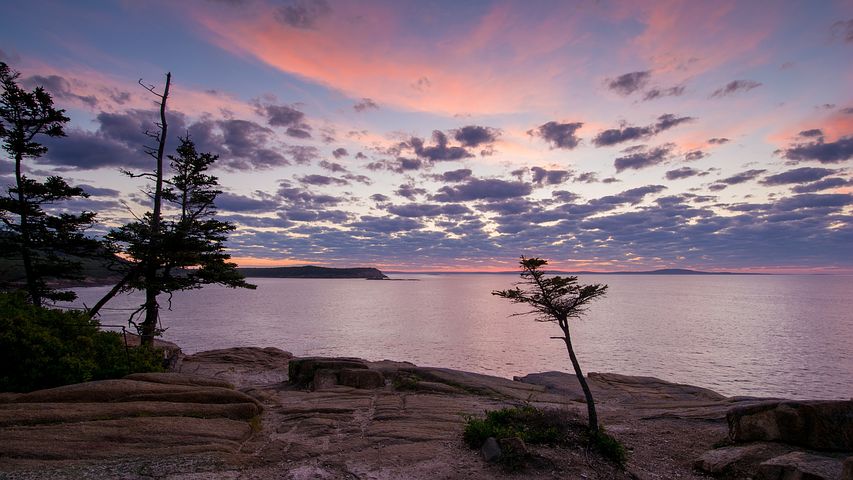 Sunrise in Acadia