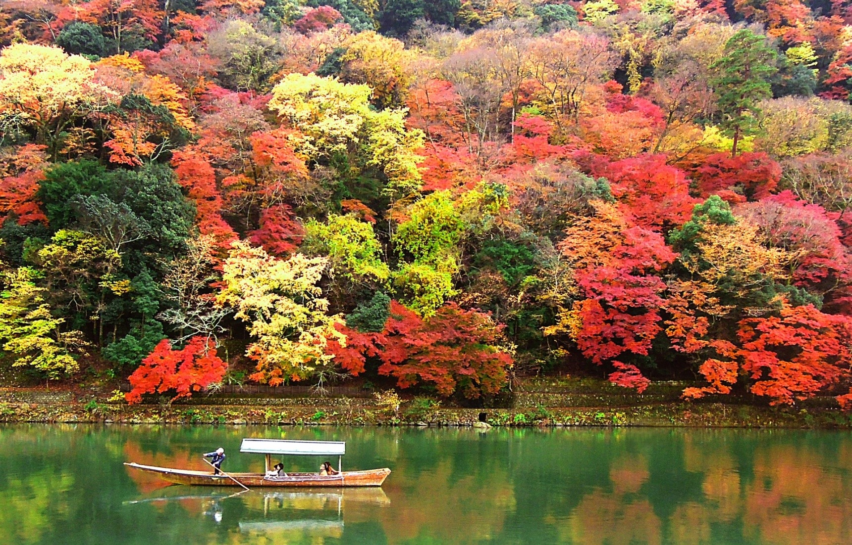 Fall Color in Kyoto, 1720x1102. (Takao Morikawa, 2 August 2019)
