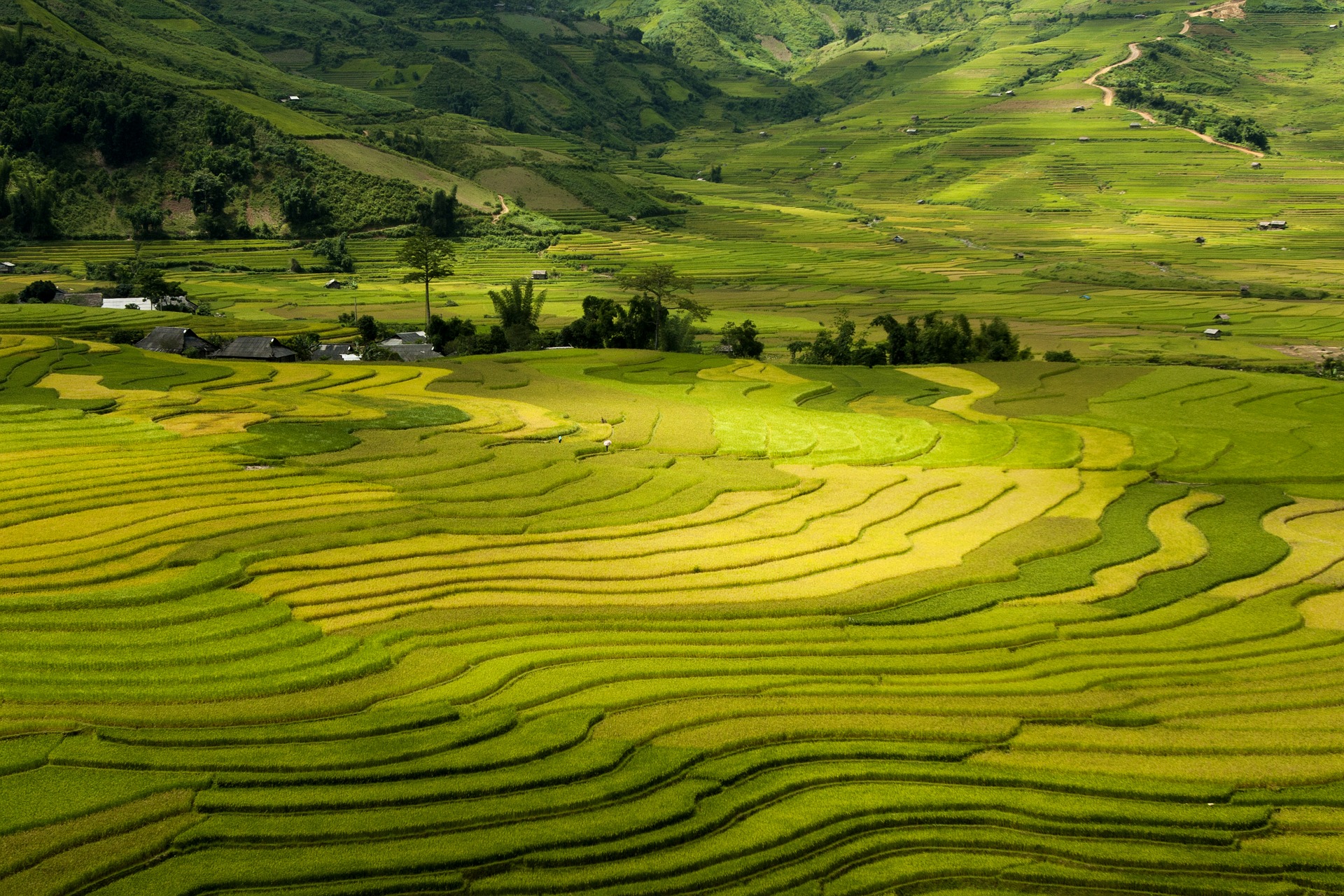 Terraces, Tay Bac