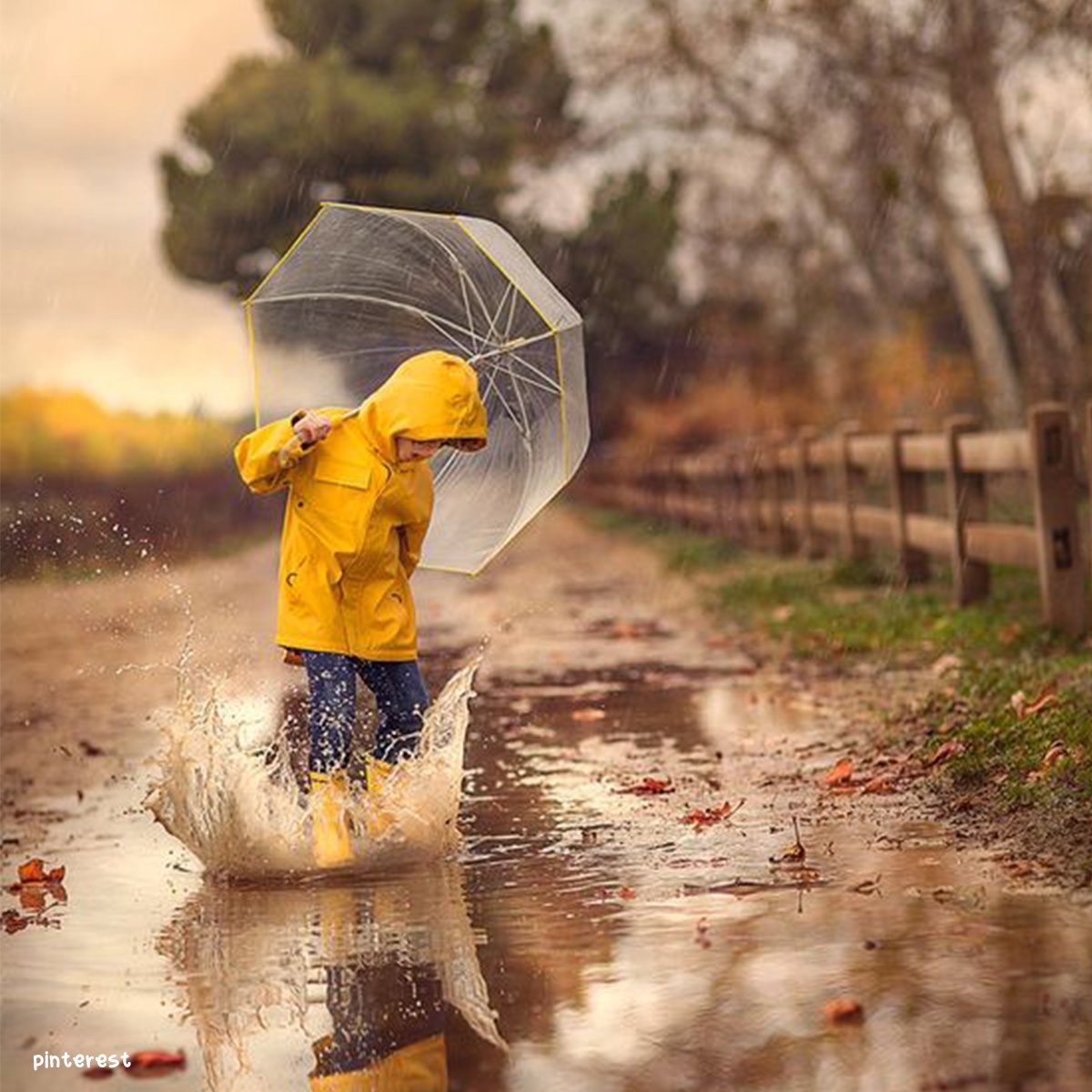 Water pool splashing