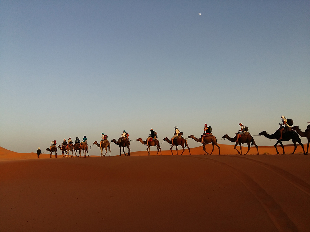 An Arab caravan crossing the desert.