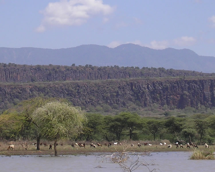 Baringo scarps: This image shows several fault scarps that are progressively farther away. Essentially we are looking at the edges of several horst blocks from within a graben that contains Lake Baringo. Image copyright Alex Guth