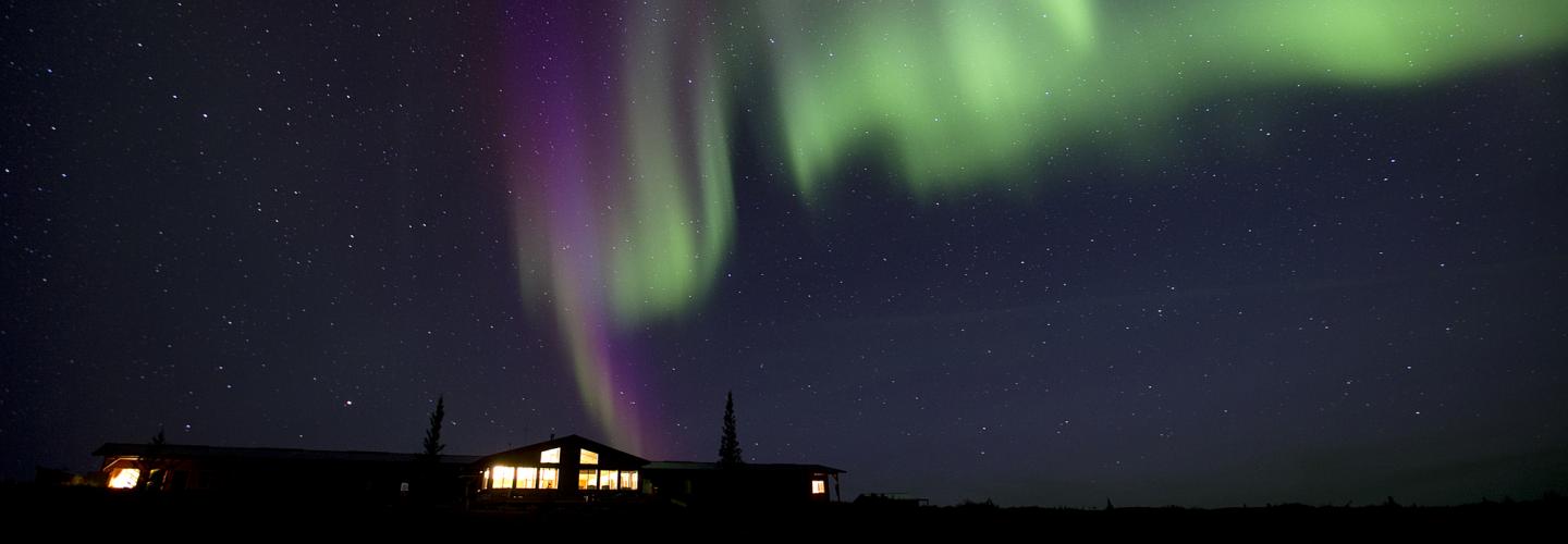 See the spring caribou migration and the Lights with Arctic Haven Wilderness Adventures. (image Arctic Haven Wilderness Adventures)