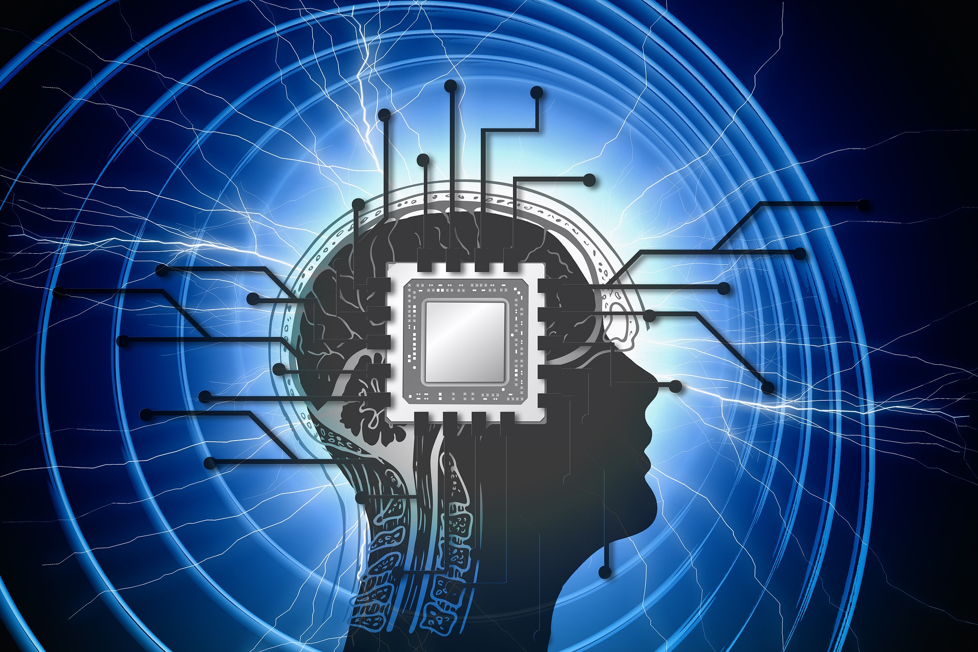 Is the Brain a Quantum Computer (Image by Gerd Altmann from Pixabay)