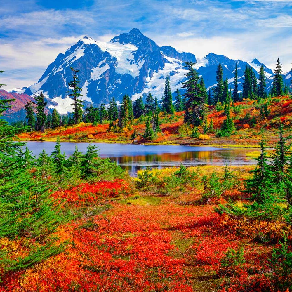 North Cascades National Park, Mt. Shuksan and Picture Lake in the fall, with carpet of brilliant red blueberry bushes