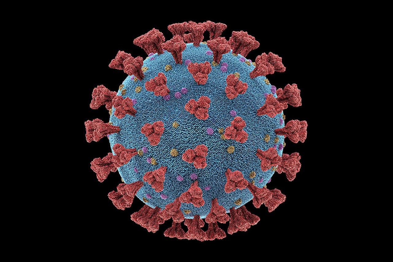 Coronavirus particle, illustration. Different strains of coronavirus are responsible for diseases such as the common cold, gastroenteritis and SARS (severe acute respiratory syndrome). A new coronavirus (2019-CoV) emerged in Wuhan, China, in December 2019. The virus causes a mild respiratory illness that can develop into pneumonia and be fatal in some cases. The coronaviruses take their name from their crown (corona) of surface proteins, which are used to attach and penetrate their host cells. Once inside the cells, the particles use the cells' machinery to make more copies of the virus. (Image by KTSDesign/Science/Getty Images/Science Photo Library RF)
