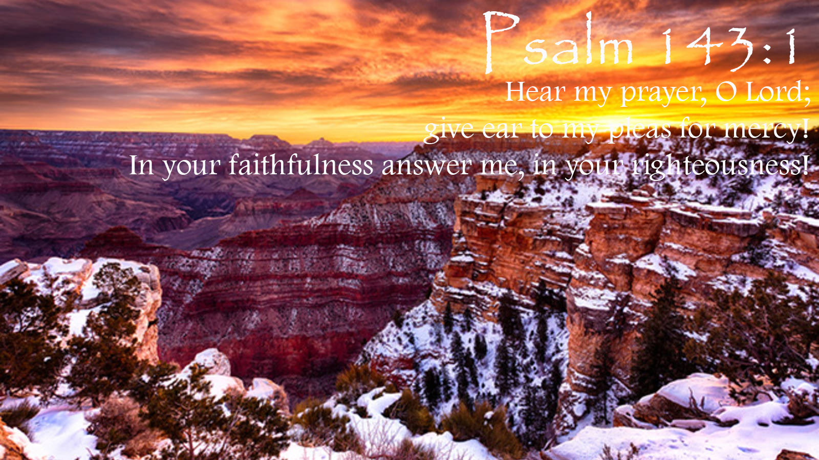 God's Steadfast Love! Friday, October 9, 2020 Daily Devotion (Grand Canyon National Park)