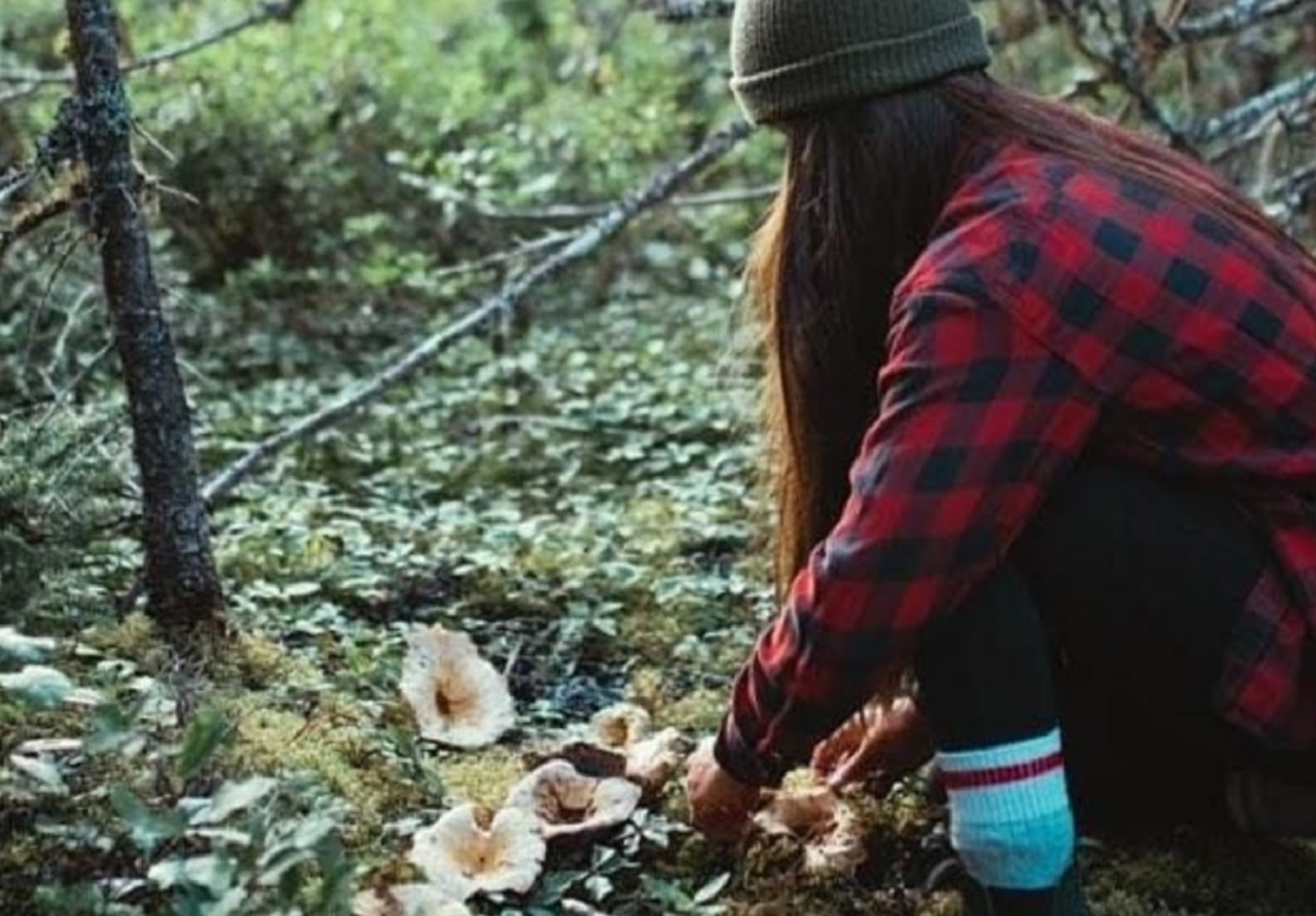 Foraging (The Alder Cottage)